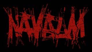 logo Navalm