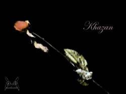 Nazhand : Khazan Nazhand : Khazan