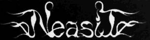 logo Neasit logo Neasit