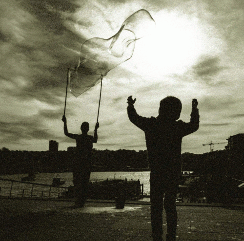 Nebelkrähe : Ephemer