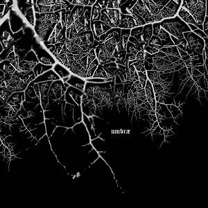 Umbræ