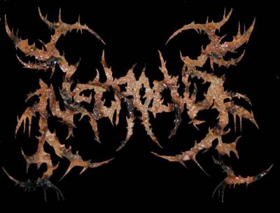 logo Necrocys logo Necrocys