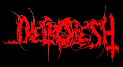 logo Necroflesh