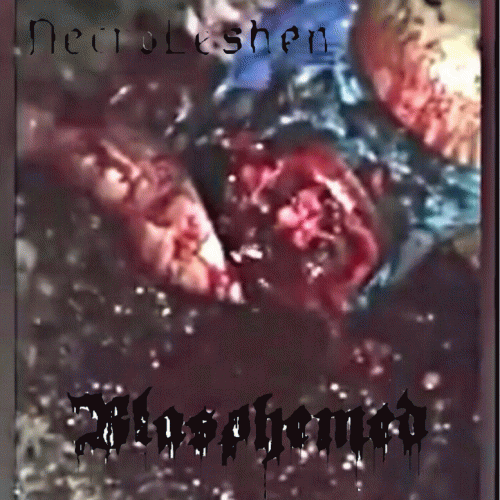 Necroleshen : Blasphemed