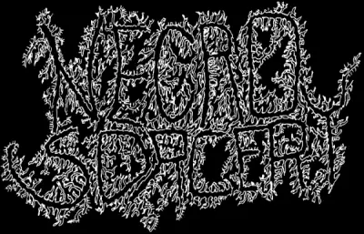 logo Necrosorcery
