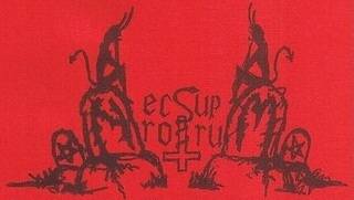 logo Necrostuprum