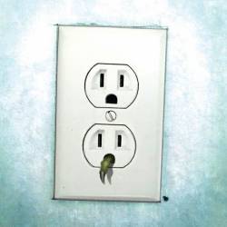 Nekrogoblikon : Power