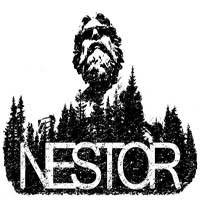 logo Nestor (SWE-2)