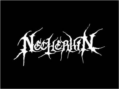 logo Netherkin