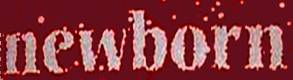 logo Newborn