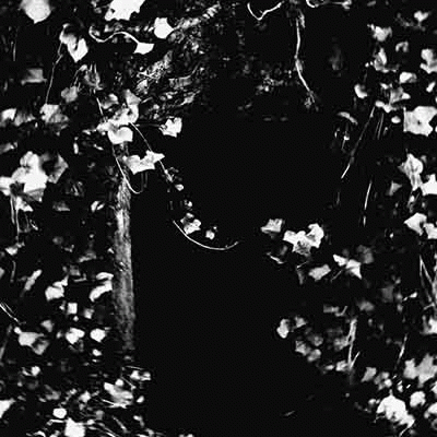 Nidstang : Angstloch