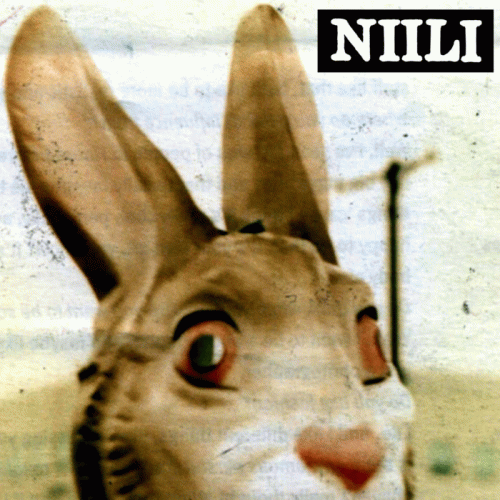 Niili : Bunny