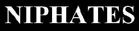 logo Niphates