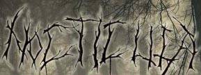 logo Nocticula