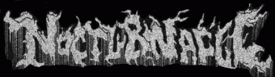 logo Nocturnacul