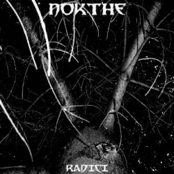 Nokthe : Radici