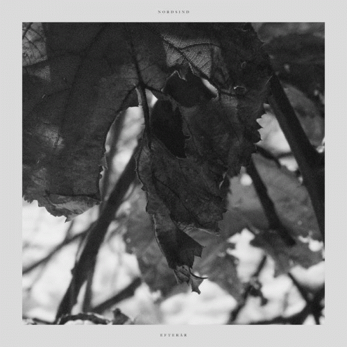 Nordsind : Efter​å​r