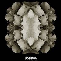 Noriega : Desolo