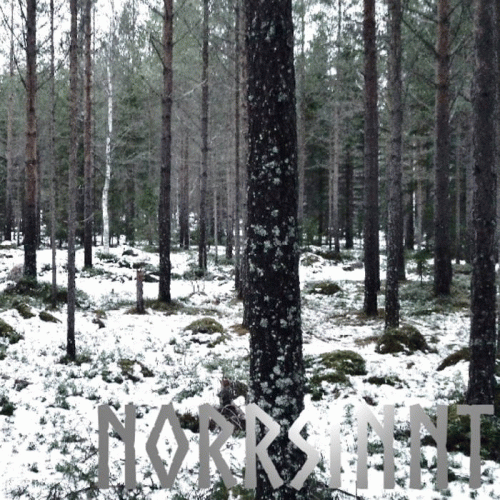 Norrsinnt : Skogsgömd