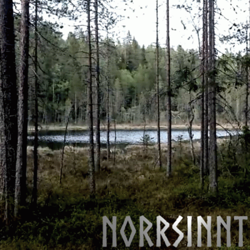 Norrsinnt : Skogstjärnen