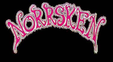 logo Norrsken (SWE-1)