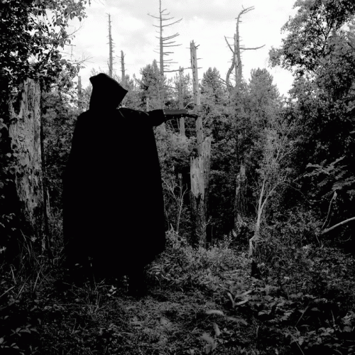 Nortfalke : Schitteringen