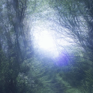 Nostalgique : Growing