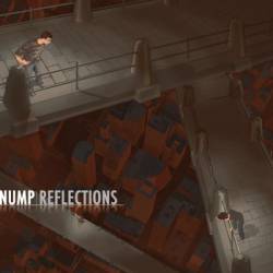 Nump : Reflections