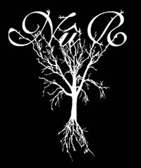 logo Nûr