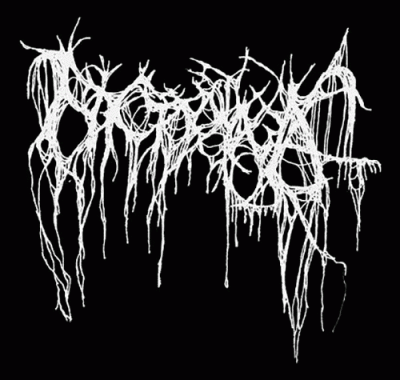 logo Nyctophagia