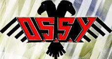 logo OSSY
