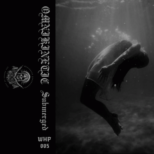 Omnikinetic : Submerged