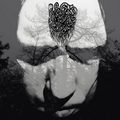 Owlcraft : Katakombene Owlcraft : Katakombene