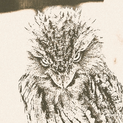 Owlcraft : Owlsong