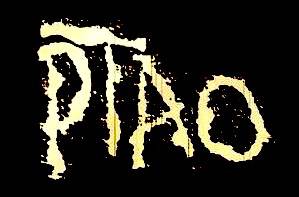 logo PTAO