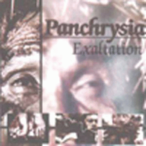 Panchrysia : Exaltation
