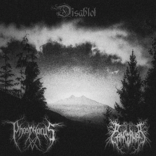 Panzerwar : Dísablót