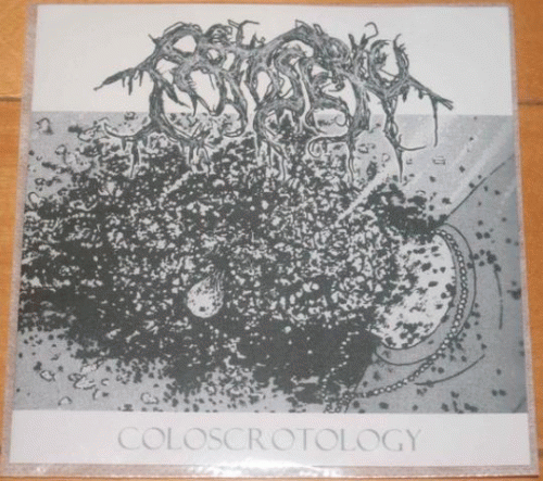 Coloscrotology