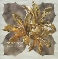 Penicillin : Freesia