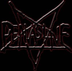 logo Pentaslave