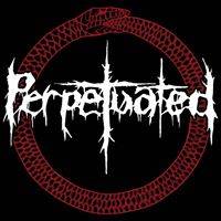 logo Perpetuated logo Perpetuated