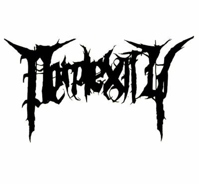 logo Perplexity