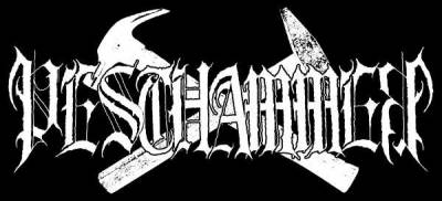 logo Pesthammer