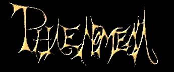 logo Phaenomena logo Phaenomena