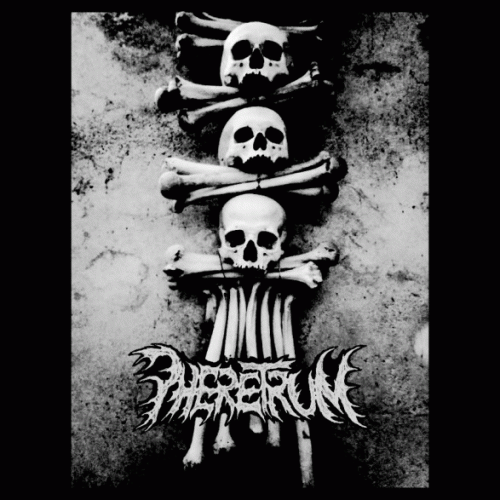 Pheretrum : Pheretrum