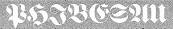 logo Phibesau
