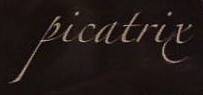 logo Picatrix