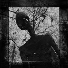 Pimentola : Untitled