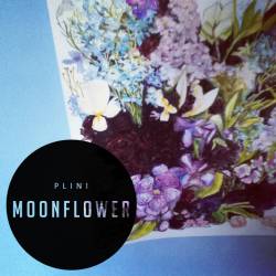 Plini : Moonflower