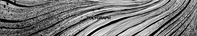 logo Polygraph